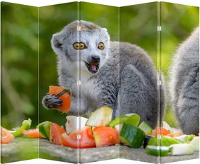 Parawan - Lemur (210x170 cm)