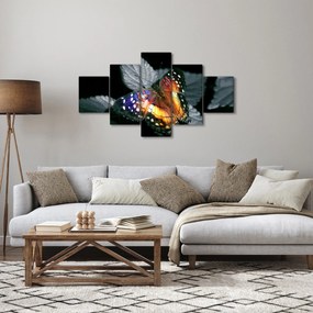 Obraz motyla (125x70 cm)