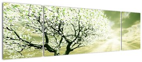 Obraz drzewa na łące (170x50 cm)
