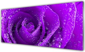 Panel Kuchenny Aksamitna Róża W Rozkwicie