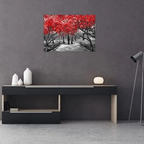 Obraz - Czerwone drzewa, Central Park, New York (70x50 cm)