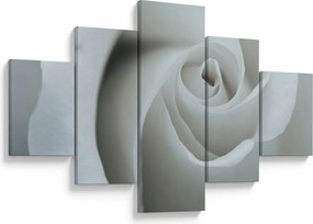 Obraz - Biała róża (125x70 cm)