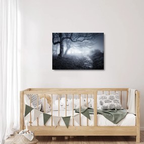 Obraz na szkle- Droga we mgle (70x50 cm)