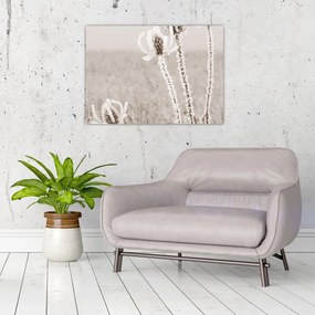 Obraz na szkle - Oset w zimie (70x50 cm)