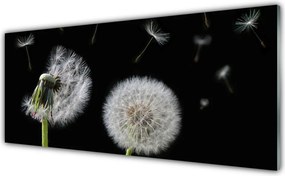 Szkło do Kuchni na Ścianę Złocisty Mniszek W Polu