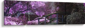 Obraz - fioletowe drzewa (170x50 cm)
