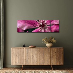 Obraz różowego kwiatu powojnika (170x50 cm)