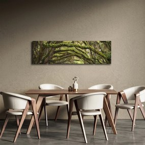 Obraz - Oaks Avenue, Charleston, Karolina Południowa, USA (170x50 cm)