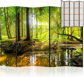 Parawan pokojowy 5-częściowy 225x172 Jednostronny dekoracyjny naturalistyczny Wielokolorowy Słońce W Zielonym Lesie