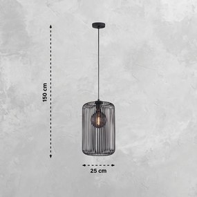 Czarna lampa wisząca z metalowym kloszem ø 25 cm Cage – Fischer &amp; Honsel