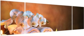 Obraz - Relaks i spa (170x50 cm)