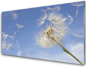 Panel Szklany do Kuchni Puszysty Dmuchawiec