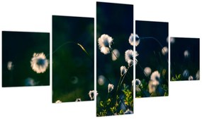 Obraz - Trawa (125x70 cm)