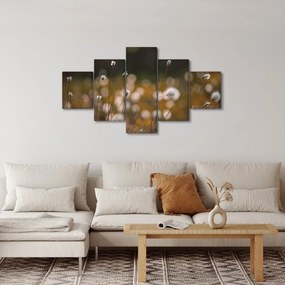 Obraz - Łąka z trawą bawełnianą N⁰2 (125x70 cm)