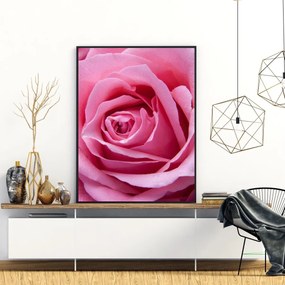Plakat - Różowa róża (A4)