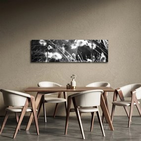 Obraz - Pajęczyna na łące (170x50 cm)