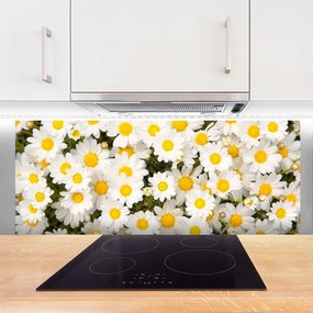 Panel Szklany Białe Stokrotki w Trawie