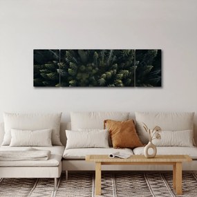 Obraz - Las (170x50 cm)