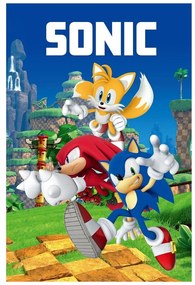 Polarowy koc dziecięcy 100x150 cm Sonic – Jerry Fabrics