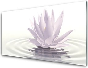 Szkło Dekoracyjne do Kuchni Kwiat Lotosu na Wodzie
