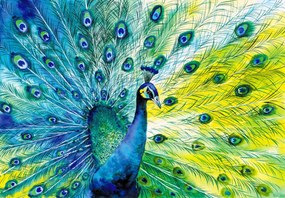 Fototapeta - Paw (196x136 cm)