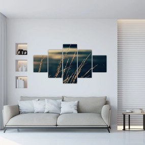 Obraz traw (125x70 cm)