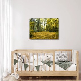 Obraz na szkle - las jesienią (70x50 cm)