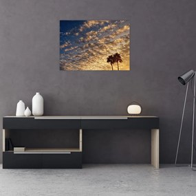 Obraz - palmy pośród chmur (70x50 cm)