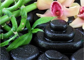 Obraz - Kamienie i orchidee (70x50 cm)
