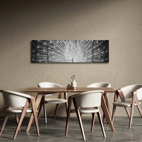 Obraz - Biały paw (170x50 cm)