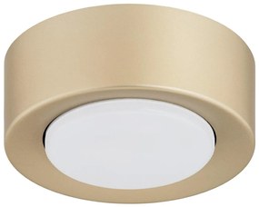 Argon 8903 - Oprawa sufitowa ELORA 1xGX53/7W/230V śr. 11 cm złota