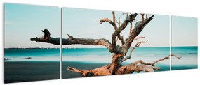 Obraz -  Wyłowiono na plaży (170x50 cm)