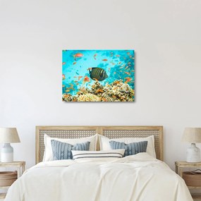 Obraz na szkle podwodnego świata (70x50 cm)