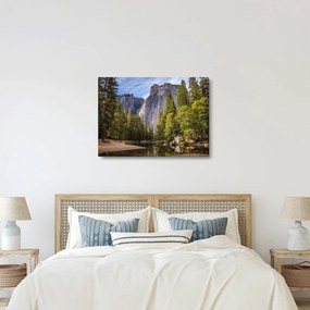 Obraz - Pod Yosemite Rock (70x50 cm)