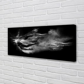 Obraz na płótnie Baletnica w Dymie na Szarym Tle