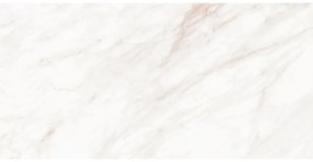 Mexen Forever Grey gres szkliwiony rekt. G1, płytka podłogowo-ścienna 120 x 60 cm, połysk - TL139-120-060-00