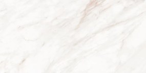 Mexen Forever Grey gres szkliwiony rekt. G1, płytka podłogowo-ścienna 120 x 60 cm, połysk - TL139-120-060-00