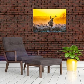 Obraz - Jeleń o wschodzie słońca (70x50 cm)
