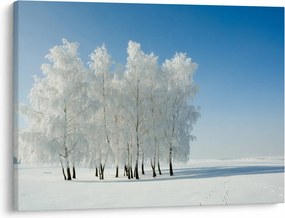 Obraz zaśnieżonego krajobrazu (70x50 cm)