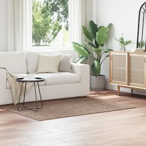 Brązowy dywan antypoślizgowy 120x170 N5-S00