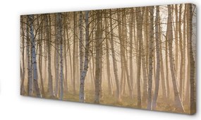 Obraz drukowany na płótnie Wschód Słońca w Lesie