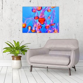 Obraz na szkle meduz w morzu (70x50 cm)