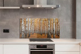 Panel szklany do Kuchni Jesienne Drzewa w Złocie