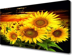 Zdjęcie na płótnie Radosny Słonecznik w Pełni