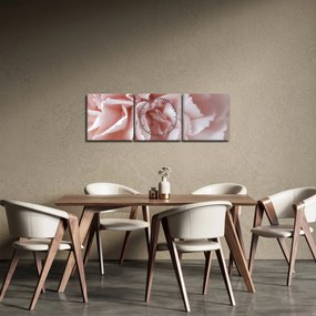 Obraz - Szczegół kwiatu (z zegarem) (90x30 cm)