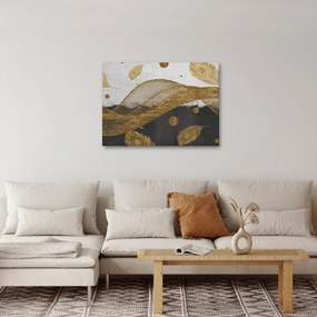 Obraz - Złote piórka (70x50 cm)