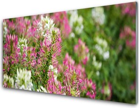 Szkło Dekoracyjne do Kuchni Sielski Urok Polnej Łąki