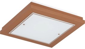 Argon 1872 - Oprawa sufitowa TABOR 4xE27/15W/230V 52x52 cm terakotowa