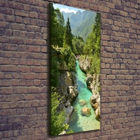 Foto obraz canvas pionowy Potok górski
