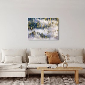 Obraz na szkle drzew we mgle (70x50 cm)